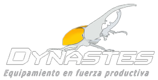 Dynastes SpA